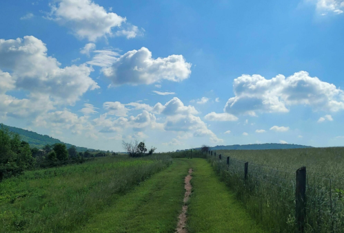 A grassy path leads through a field under a blue sky with fluffy clouds and distant hills.