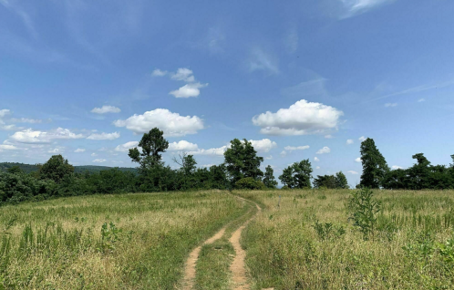 A dirt path winds through a grassy field under a blue sky with fluffy clouds and scattered trees in the background.