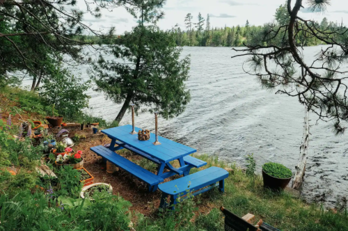 A blue picnic table by a serene lake, surrounded by greenery and potted plants, under a cloudy sky.