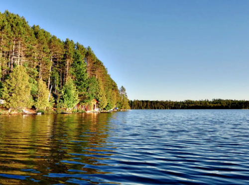 A serene lake surrounded by lush green trees under a clear blue sky, reflecting the calm water.