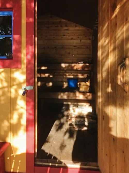 A cozy wooden interior of a sauna with benches and a blue bucket, illuminated by soft sunlight and shadows.