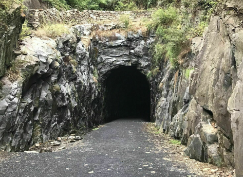 A dark tunnel carved into rocky terrain, with a gravel path leading into the entrance surrounded by greenery.