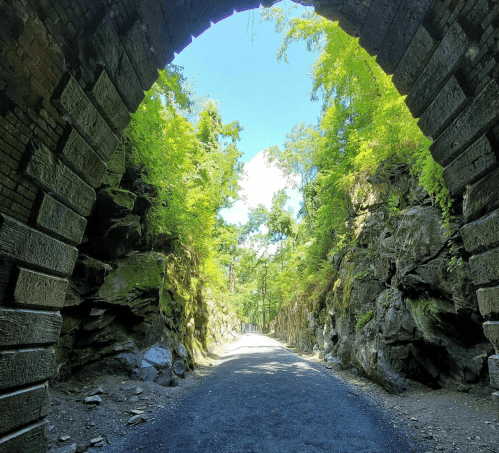 A scenic view of a tree-lined path through a stone archway, surrounded by lush greenery and rocky cliffs.