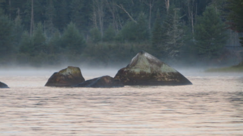 Misty lake scene with large rocks emerging from the water, surrounded by trees in the background.