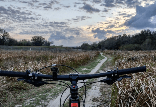 View from a bike handlebars on a dirt path through tall grass, with a cloudy sunset sky in the background.