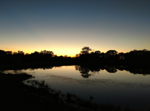 Silhouette of trees reflected in a calm lake at sunset, with a gradient sky transitioning from orange to deep blue.