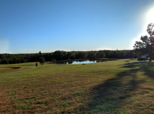 A serene landscape featuring a pond surrounded by grassy fields and trees under a clear blue sky.