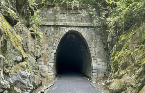 A dark stone tunnel entrance surrounded by moss-covered rocks and greenery.