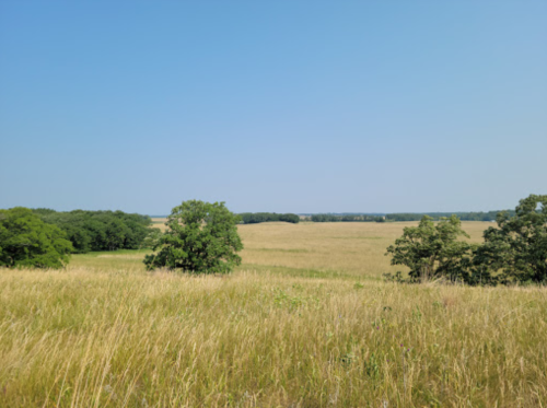A wide, open landscape featuring tall grass and scattered trees under a clear blue sky.