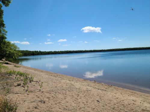 A serene lakeside view with a sandy beach, clear blue water, and a bright sky with a few clouds.
