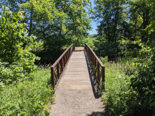 A wooden bridge surrounded by lush greenery, leading over a small stream on a sunny day.