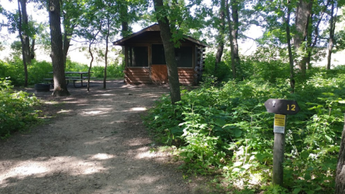 A rustic cabin surrounded by greenery, with a picnic table nearby and a signpost indicating site number 12.