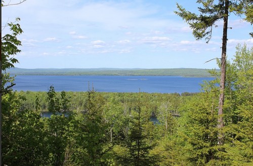 A serene landscape featuring a blue lake surrounded by lush green trees and distant hills under a clear sky.