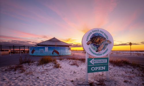 Sign for the Mazur Beach Sea Turtle Conservation Center at sunset, with a beach and building in the background.