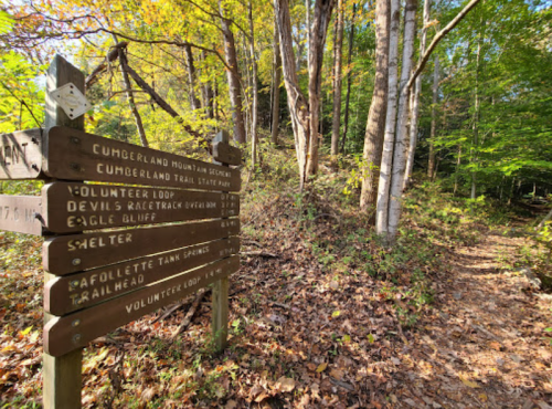 Wooden trail signs at Cumberland Mountain State Park, surrounded by trees and fallen leaves, indicating various hiking routes.