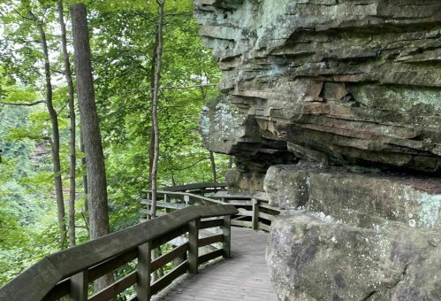 A wooden walkway curves alongside a rocky cliff, surrounded by lush green trees.