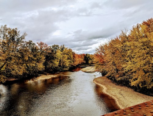 A serene river winds through a landscape of autumn trees with vibrant orange and yellow leaves under a cloudy sky.