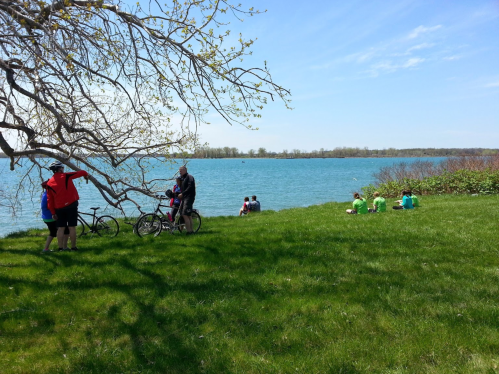 A sunny lakeside scene with people biking and sitting on the grass, enjoying the water and greenery.