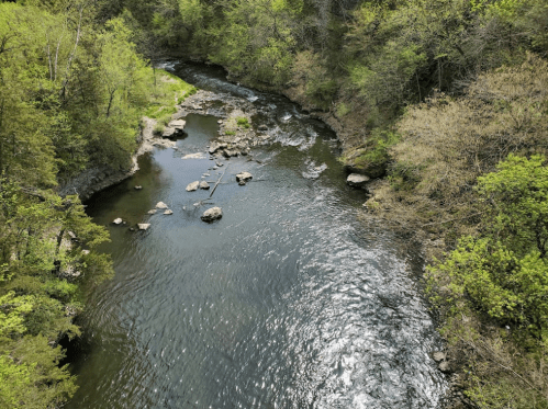 A serene river flows through a lush green landscape, with rocks scattered along the water's edge.
