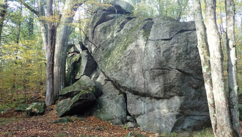 A large, moss-covered rock formation surrounded by trees in a forested area with fallen leaves on the ground.