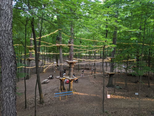 A treetop adventure course with wooden platforms and ropes, surrounded by lush green trees in a forested area.