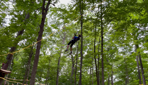 A person zip-lining through a lush green forest, surrounded by tall trees and vibrant foliage.