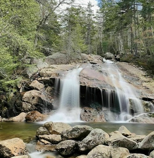 A serene waterfall cascades over rocks, surrounded by lush green trees in a tranquil forest setting.