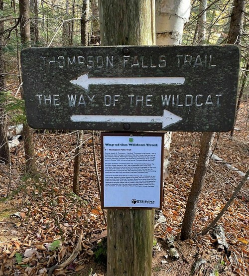 Signpost in a forest indicating the Thompson Falls Trail and the Way of the Wildcat, with directional arrows.