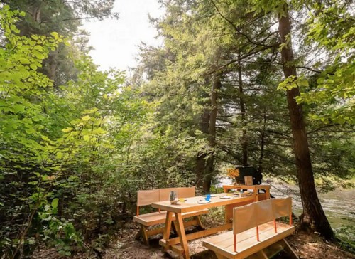 A wooden picnic table set among lush green trees, with a serene outdoor setting by a river.