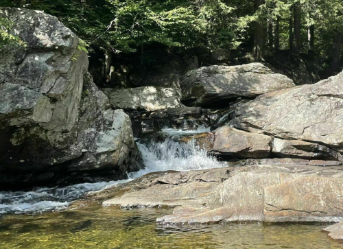 A serene rocky stream flows through a forested area, with sunlight filtering through the trees above.