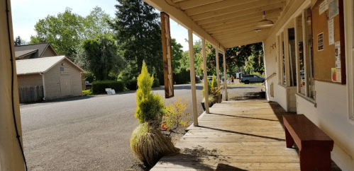 A wooden porch with potted plants, overlooking a quiet street lined with trees and houses in the background.