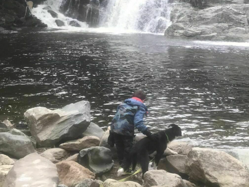 A child in a blue jacket stands on rocks by a river, petting a black and white dog near a waterfall.