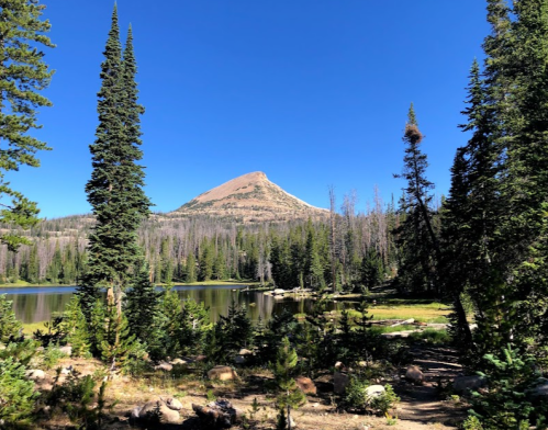 A serene landscape featuring a mountain peak surrounded by tall pine trees and a calm lake under a clear blue sky.