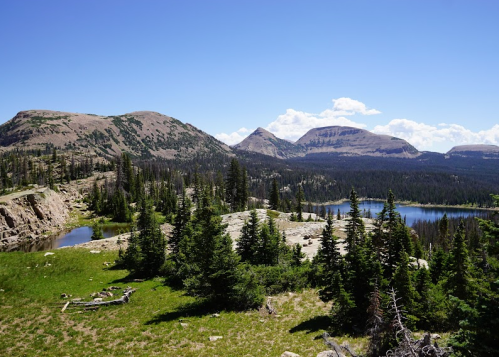 A scenic view of mountains and a lake surrounded by lush greenery under a clear blue sky.