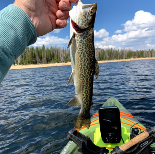 A hand holds a caught trout above a kayak on a lake, with trees and clouds in the background.