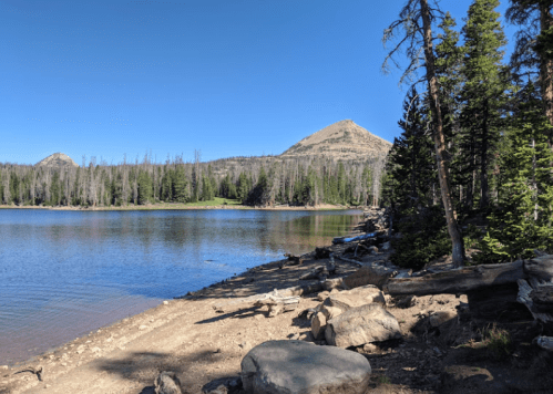 A serene lake surrounded by trees and mountains under a clear blue sky. Rocks line the shore.