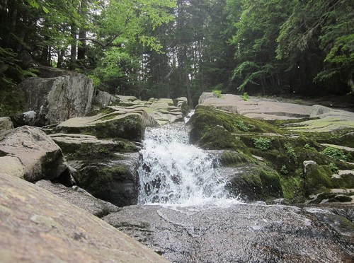 A serene waterfall cascades over moss-covered rocks in a lush, green forest.