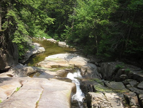 A serene river flows over smooth rocks, surrounded by lush green trees in a tranquil forest setting.