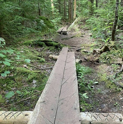 A narrow wooden bridge over a forest path, surrounded by lush greenery and trees.