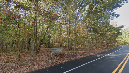 A winding road surrounded by trees with autumn foliage and a wooden sign partially visible on the left.