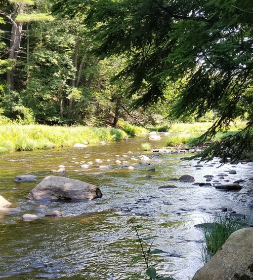 A serene river flows through a lush green landscape, with smooth stones scattered along the water's edge.
