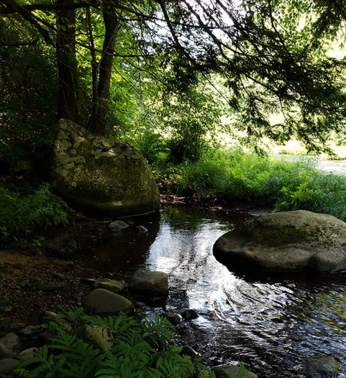 A serene stream flows through a lush green forest, with large rocks and vibrant foliage surrounding the water.
