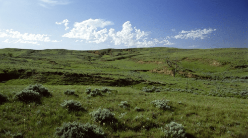 Vast green landscape with rolling hills, sparse vegetation, and a clear blue sky with scattered clouds.