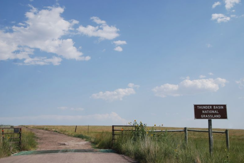 A dirt road leads into a grassy landscape under a blue sky with clouds, marked by a sign for Thunder Basin National Grassland.