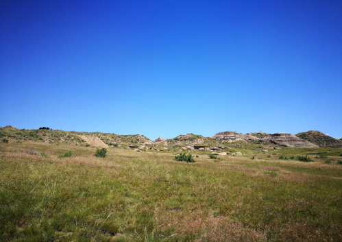 A wide view of a grassy landscape with rocky hills under a clear blue sky.