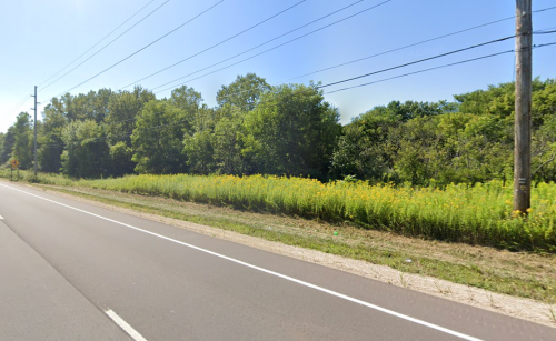 A roadside view featuring tall yellow wildflowers and dense greenery under a clear blue sky.