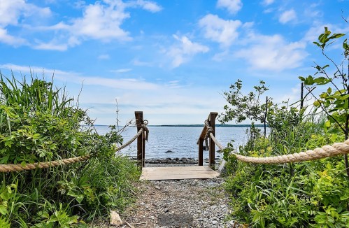 A wooden dock leads to a calm body of water, surrounded by lush greenery and a blue sky.