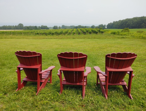 Three red Adirondack chairs facing a green field and distant trees under a hazy sky.