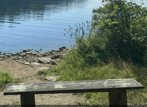 A weathered wooden bench by a calm lake, surrounded by grass and small rocks.