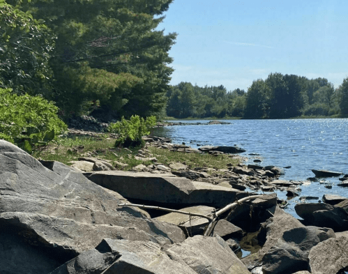 A serene riverbank scene with rocks, greenery, and trees under a clear blue sky.